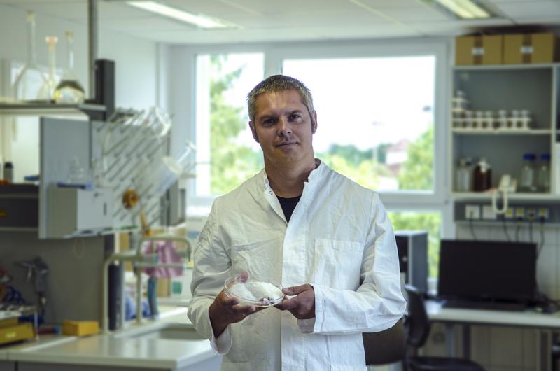 According to a recent study by Schaller et al, fertilization with amorphous silicate can significantly increase wheat yields. 