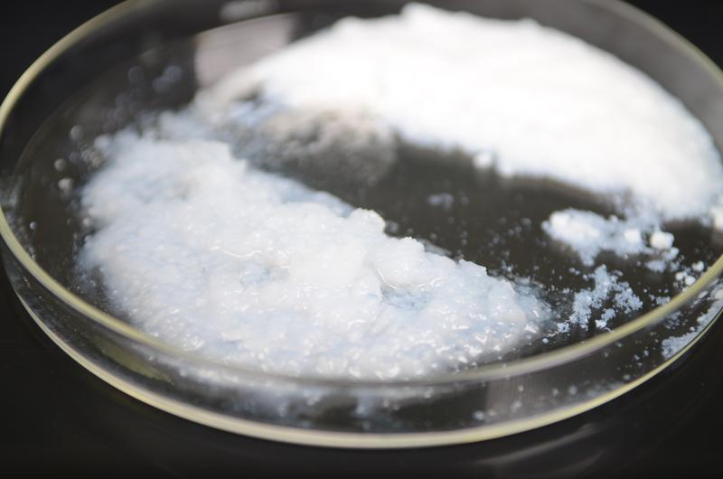 Silicon increases the water-holding capacity of the soil: like a sponge, amorphous silicate attracts water molecules, which accumulate in a gel shell around the silicate core, as can be seen here in the picture.