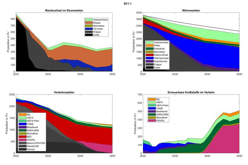   Biomasseaufteilung zwischen Strom-, Wärme- und Verkehrssektor im Szenario 1 „hoher CO2-Preis“