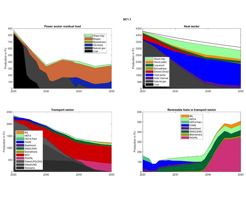  Biomass breakdown between the electricity, heat and transport sectors in scenario 1 "high CO2 price"