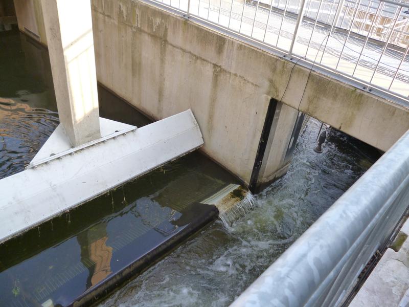 An der Wasserkraftanlage Unkelmühle/Sieg installierte Bypässe.