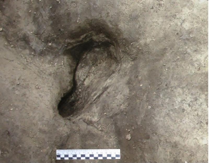 Potenzieller Homininen-Fußabdruck, der in Schöningen 13 II-2 Untere Berme gefunden wurde. 