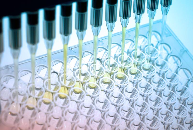 Ameisensäure bzw. Formiat kann als Kernstück einer kohlenstoffneutralen Bioökonomie dienen, indem es auf (elektro-)chemischem Wege aus CO2 hergestellt wird