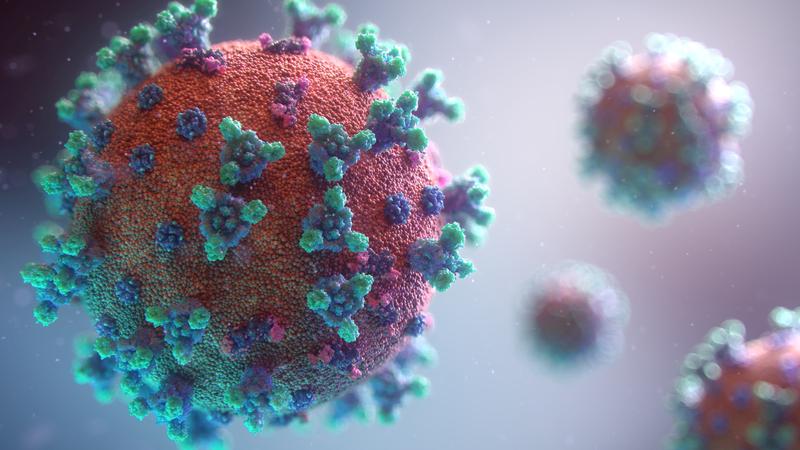 Schematic depiction of coronavirus particles