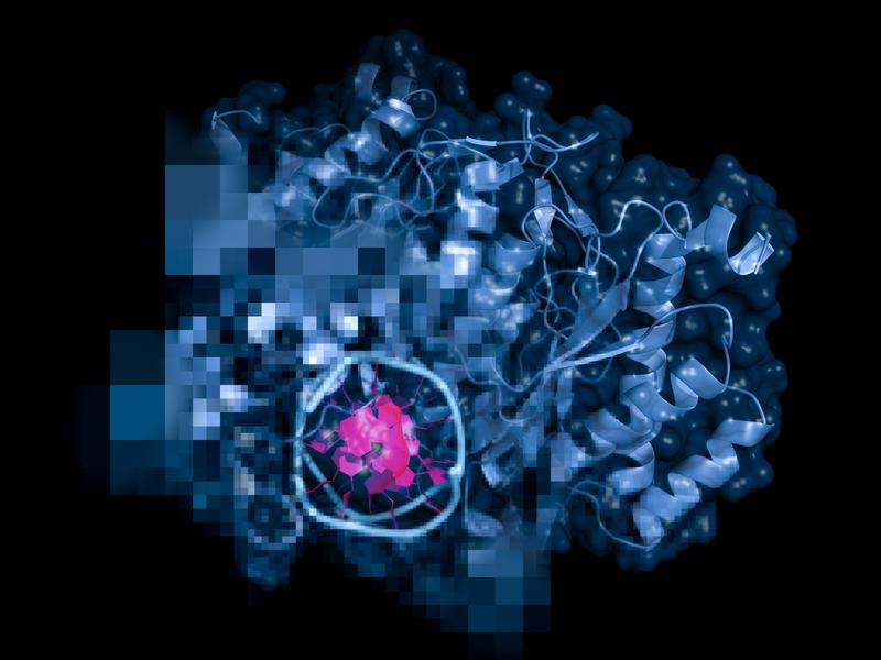 KI-basiertes, an der HHU entwickeltes ESP-Modell sagt Verarbeitung von Substraten voraus 