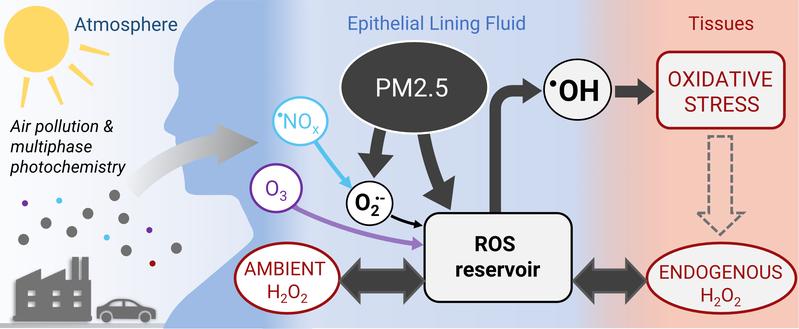 The illustration shows the health effects of atmospheric air pollution. 