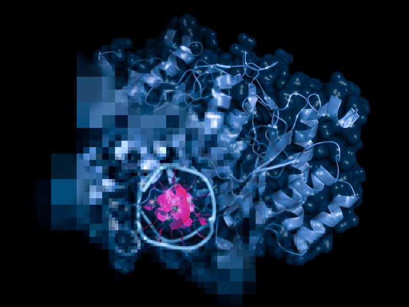 The AI-based ESP model developed at HHU can be used to predict which substrates can be converted by enzymes. 