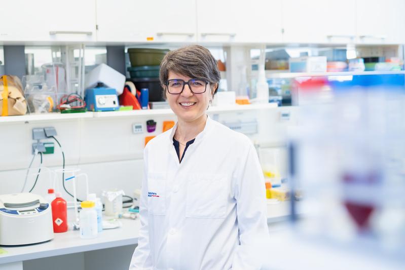 Marta Rizzi erforscht im Rahmen ihrer Heisenberg-Professur die Ursachen von Immundefekten.