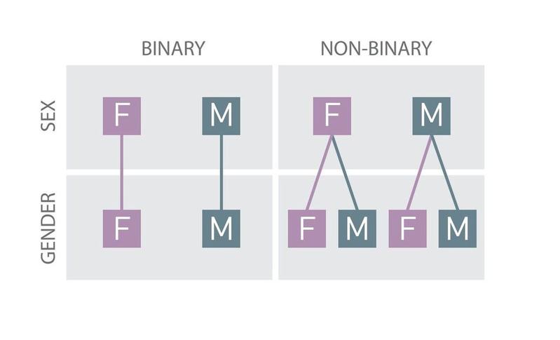 Ist Non Binary wissenschaftlich belegt?