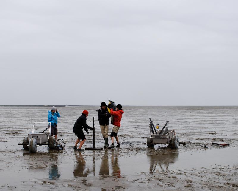 The researchers use sediment cores to record settlement remains and to reconstruct landscape evolution at selected sites on the tidal flats.