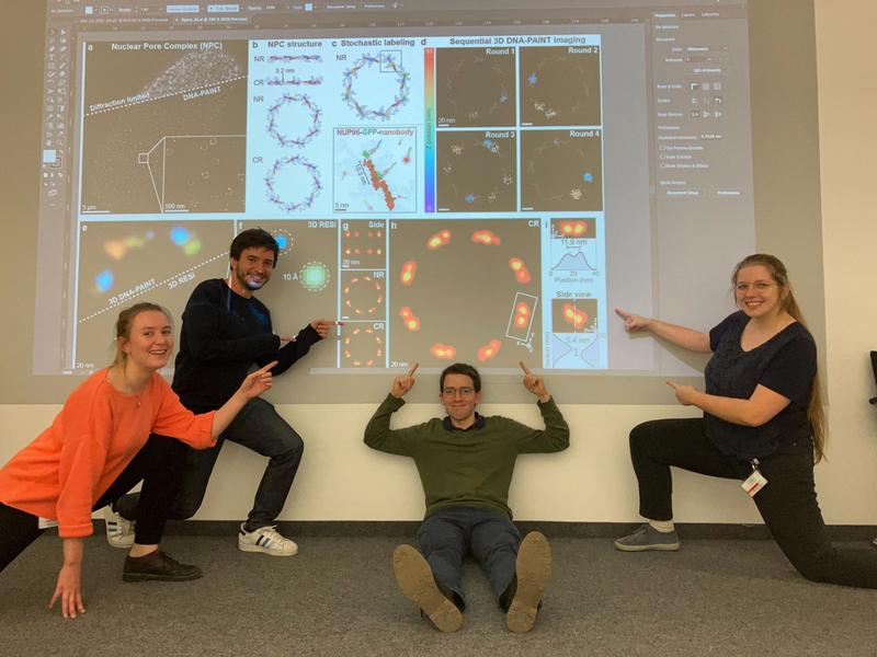 The study co-first authors from the Jungmann Lab (from left): Isabelle Baudrexel, Luciano Masullo, Philipp Steen, and Susanne Reinhardt