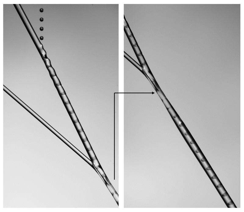 The production of the biocompatible microfibre in an upclose view