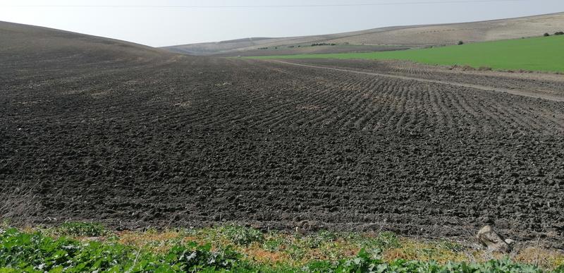 Agricultural soils in southern Europe.