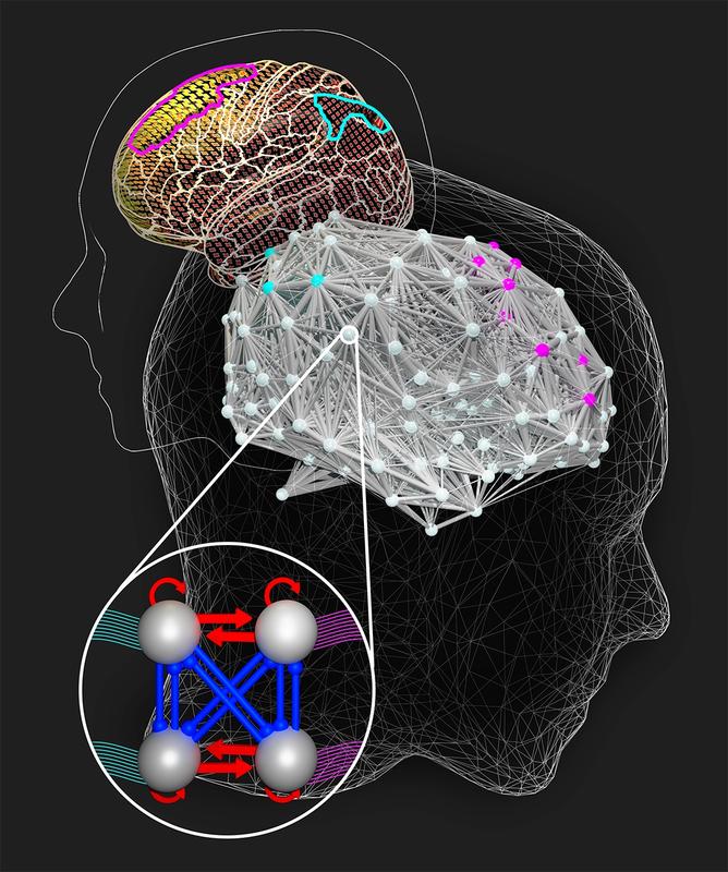 Intelligente Gehirne nehmen sich mehr Zeit für schwierige Aufgaben