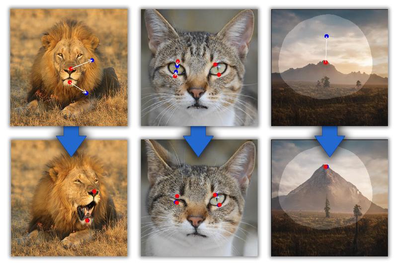 Various images processed using the DragGAN method.