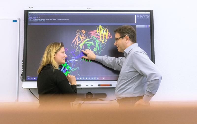 Humboldt-Prof. Dr. Jens Meiler und Dr. Clara T. Schoeder  analysieren Proteinstrukturen.