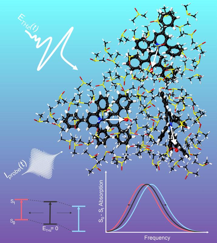 Molekulare Strukturen des Farbstoffs Betain 30 (dunkle Konturen) im Lösungsmittel Dimethylsulfoxid (DMSO)