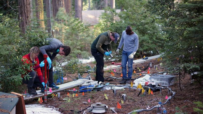 Researchers from the University of Zurich take soil samples in the Sierra Nevada National Forest.