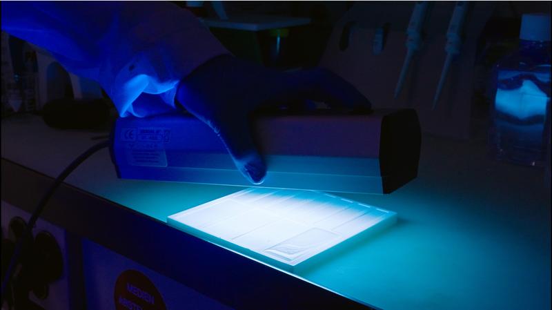 Das synthetische Hydrogel-Material besteht aus vier verschiedenen Acryl-Substanzen. 