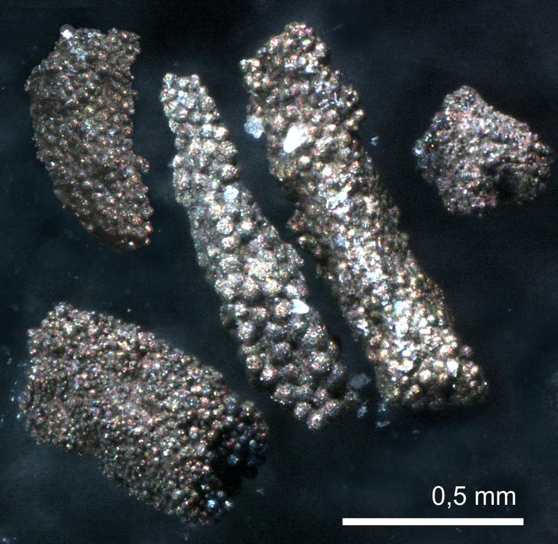  Winzige Röhrchen aus Pyrit gaben den Wissenschafter*innen Rätsel auf.
