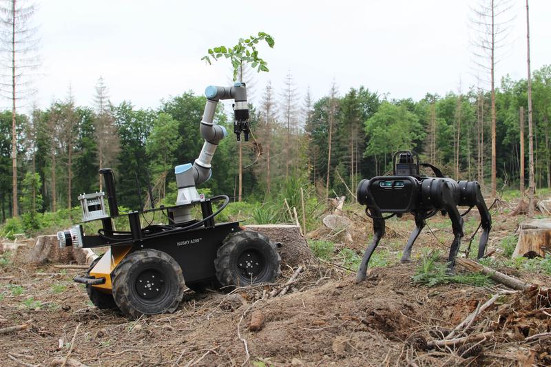 Roboter können Menschen im Alltag oder auch die Planung klimaresistenter Wälder unterstützen.