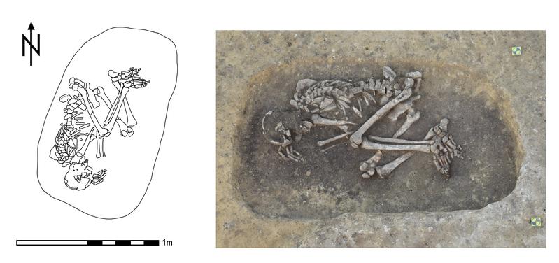 Grab eines vor rund 4.000 Jahren an der Pest verstorbenen Mannes im Alter von 22–27 Jahren aus dem Gräberfeld in Drasenhofen