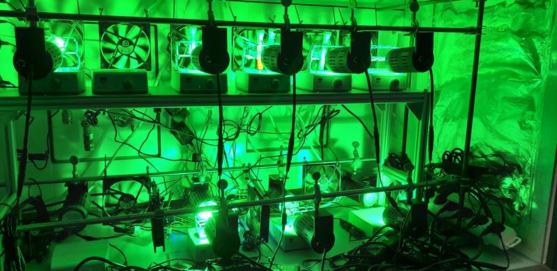 Versuchsaufbau im PieberLab. Piebers Forschungsgruppe nutzt Licht mit unterschiedlichen Wellenlängen, um chemische Reaktionen zu steuern. 