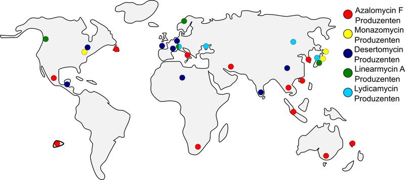 Auf Literaturrecherche und Genomanalysen basierende Weltkarte mit Standorten, an denen Streptomyces-Bakterien isoliert wurden, die Arginoketide produzieren. Das deutet auf eine nahezu weltweite Verbreitung von Arginoketid-Produzenten hin.
