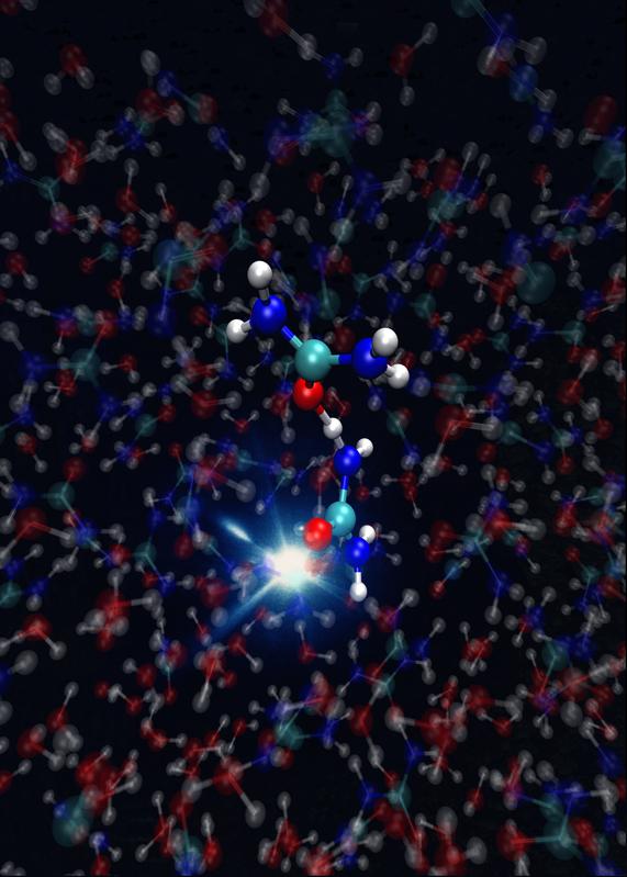 Zwei benachbarte Harnstoff-Moleküle in einer wässrigen Lösung tauschen Protonen aus. 