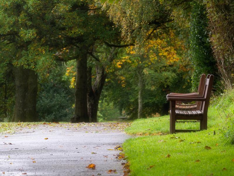 Einen schönen Platz im Grünen finden und per App eine kleine Aufgaben erledigen - das ist Teil der Studie "Natur und Mensch in der Stadt", für die Teilnehmende in Dresden gesucht werden.