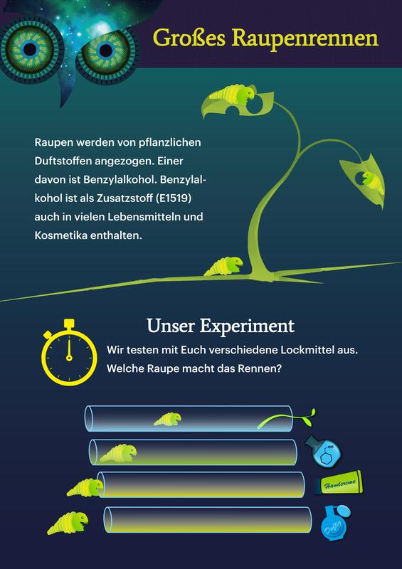 Raupenrennen zur Langen Nacht der Wissenschaften