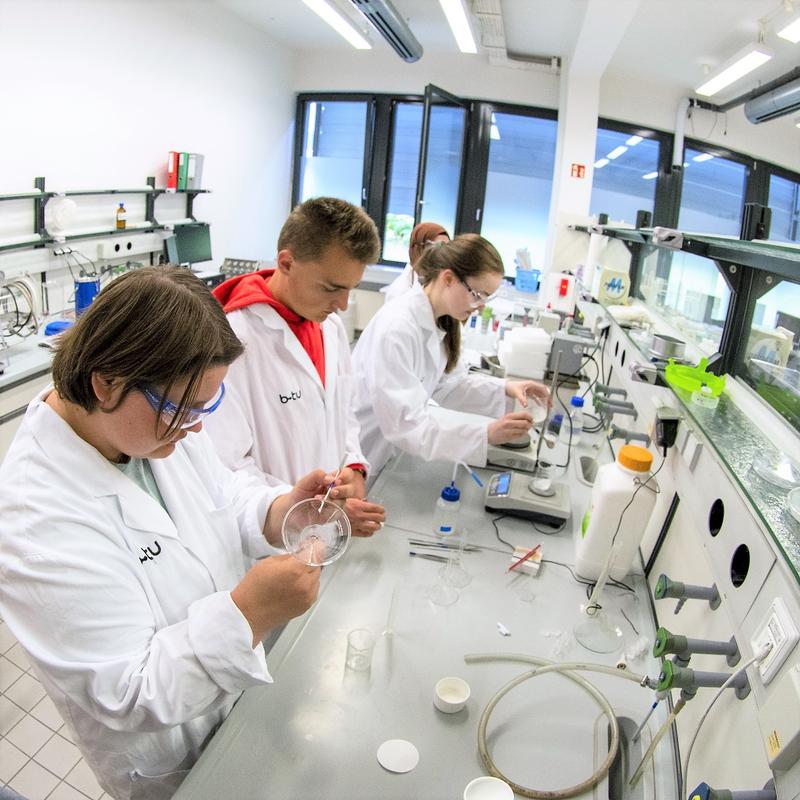 Teilnehmende am Mint-EC-Camp bei der Laborarbeit.