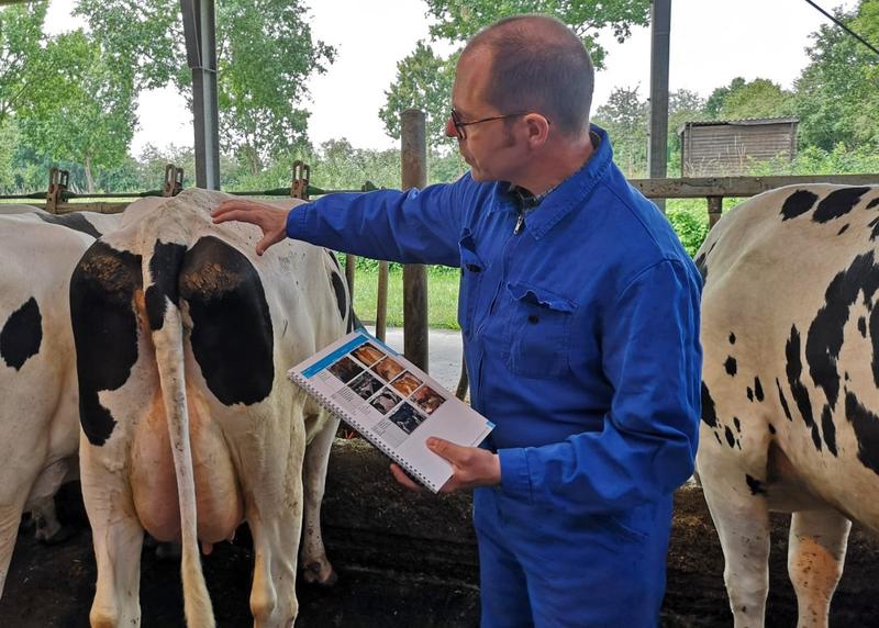 Bei der Tierwohlkontrolle in der ökologischen Landwirtschaft sind tierbezogene Indikatoren von besonderer Bedeutung 