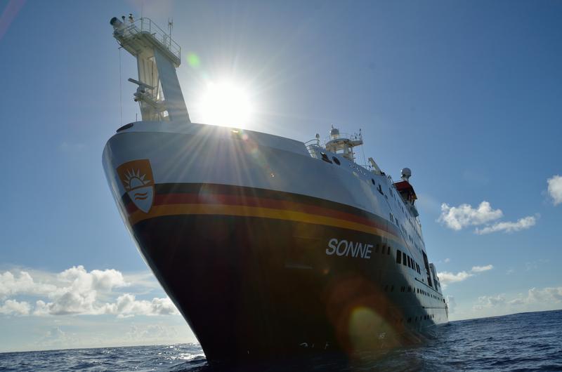 Das 2,7 Zentimeter große Krebstier wurde im Rahmen der Jungfernfahrt des Forschungsschiffes SONNE gesammelt und stammt aus dem Puerto-Rico-Tiefseegraben im nordwestlichen Atlantik. 