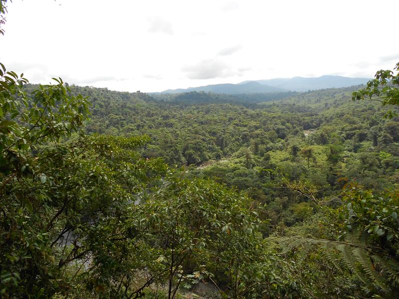 Ecuador verfügt über eine extrem hohe biologische Vielfalt. Ein beträchtlicher Teil der Flora und Fauna ist endemisch. Allerdings haben einige Regionen, wie die Anden, 70 Prozent ihrer ursprünglichen natürlichen Vegetation verloren.