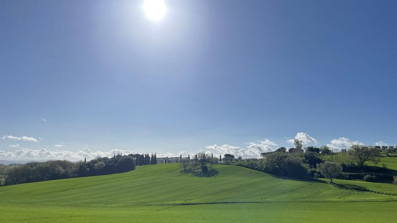 Land surface temperatures are shaped mostly by the heating by sunlight, but also by evaporation and convective heat transfer in the vertical. 