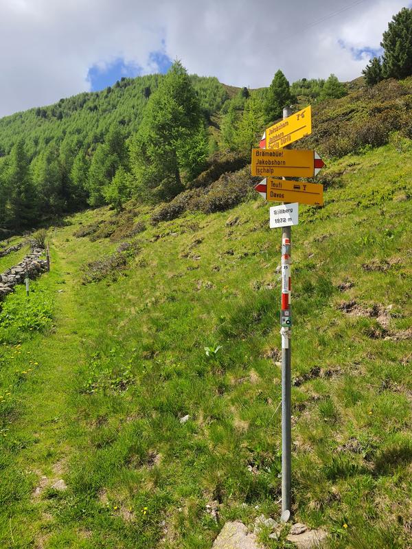 Wanderwegweiser auf der Stillbergalp bei Davos. Ab hier führt der Weg der Versuchsfläche entlang, wo seit rund 50 Jahren die Aufforstung in Hochlagen und die Ökologie der Waldgrenze erforscht werden.