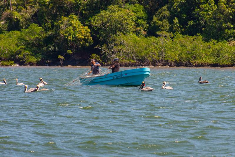 Fischer gehen ihrer Arbeit mit traditionelle Fischereipraktiken an der Pazifikküste Panamas nach 