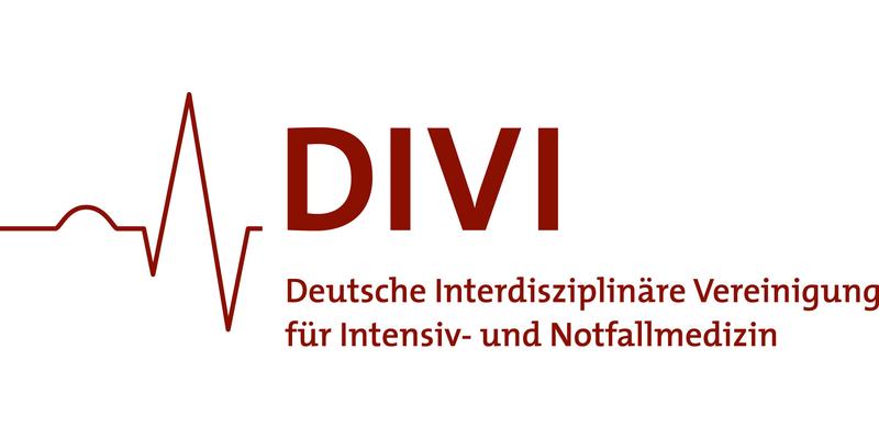 DIVI23-Logo