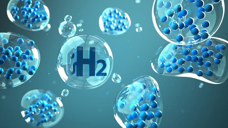 Experten disktuieren beim Workshop an der WHU zukünftige Anwendungsgebiete von grünem Wasserstoff.