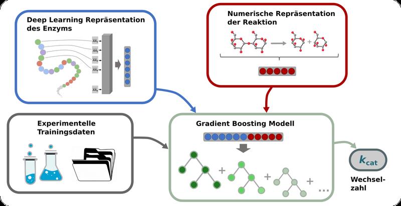 Schematische Darstellung des Vorhersageprozesses für Wechselzahlen von enzymatischen Reaktionen. Ausführliche BU s. Text.