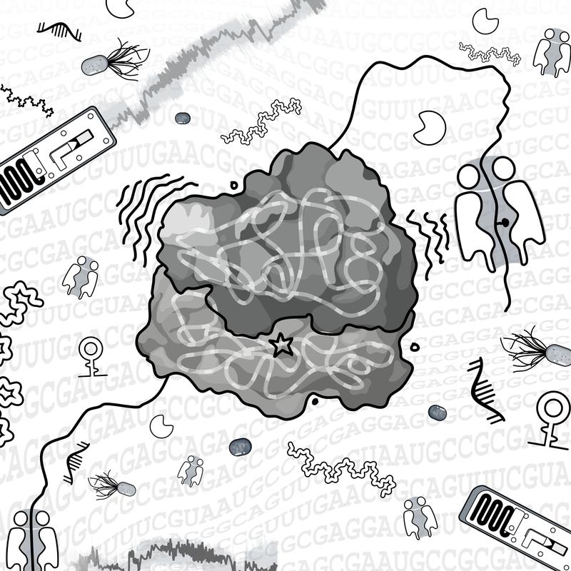 Die Grafik illustriert in abstrahierter Form, wie die Sequenz ribosomaler RNA-Moleküle mithilfe der Nanopore-Sequenzierung entziffert wird.