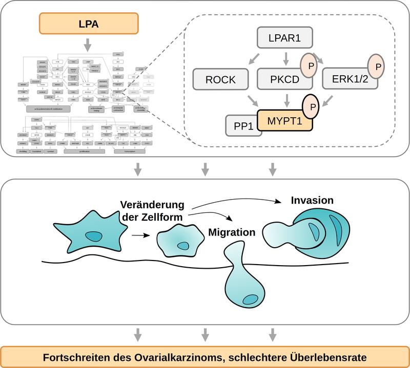 Schematische Darstellung der Forschungsergebnisse.