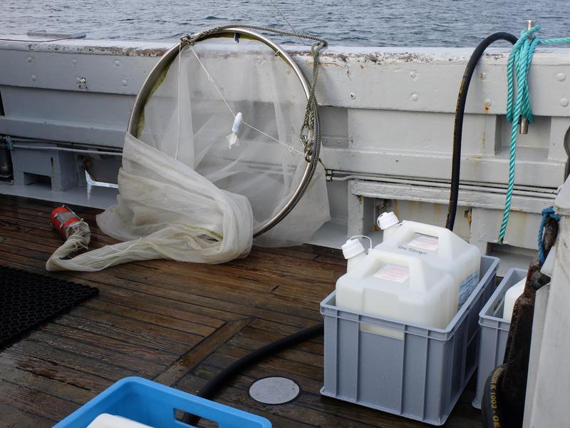 Sampling on the ship to study seawater from the North Sea. The seawater is filled into large canisters and cooled and brought back to the lab where the microcosm experiments are conducted.