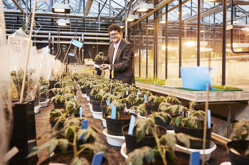 Holger Puchta setzte als erster Wissenschaftler molekulare Scheren zur Genomveränderung bei Pflanzen ein. (Foto: Sandra Göttisheim, KIT)