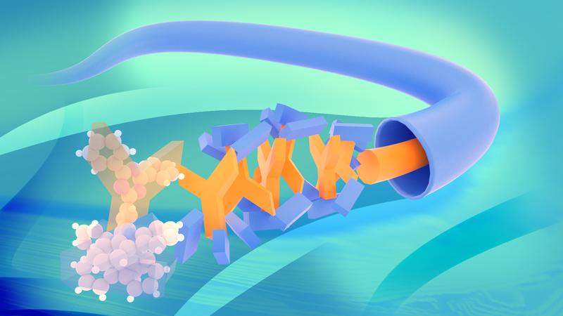 Due to the special chemical structure, the molecules arrange themselves in a kind of spiral. The result: The electron-conducting core is shielded, which leads to higher efficiency of the organic light-emitting diode.