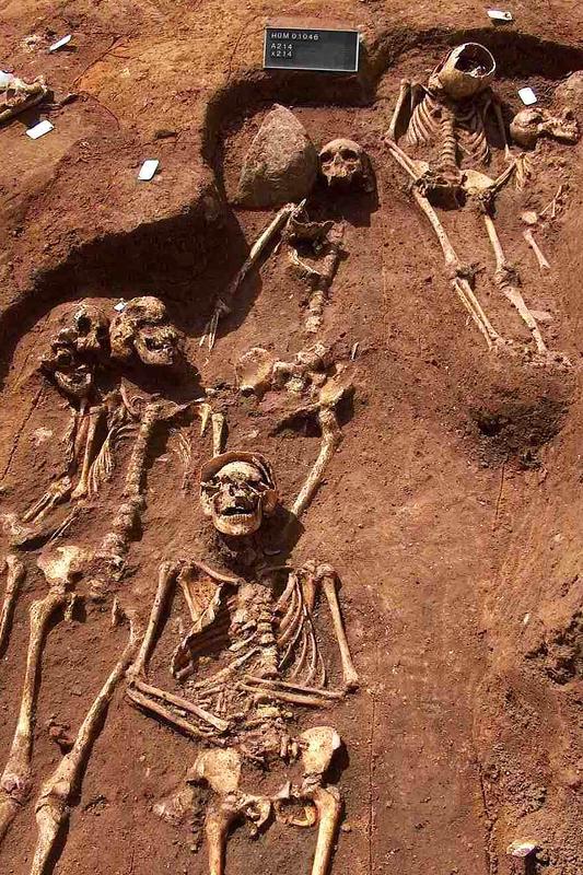 Among others, skeletons found during an excavation at a cemetery in Sejet, Denmark, provided genetic samples for new plague study from Kiel University.