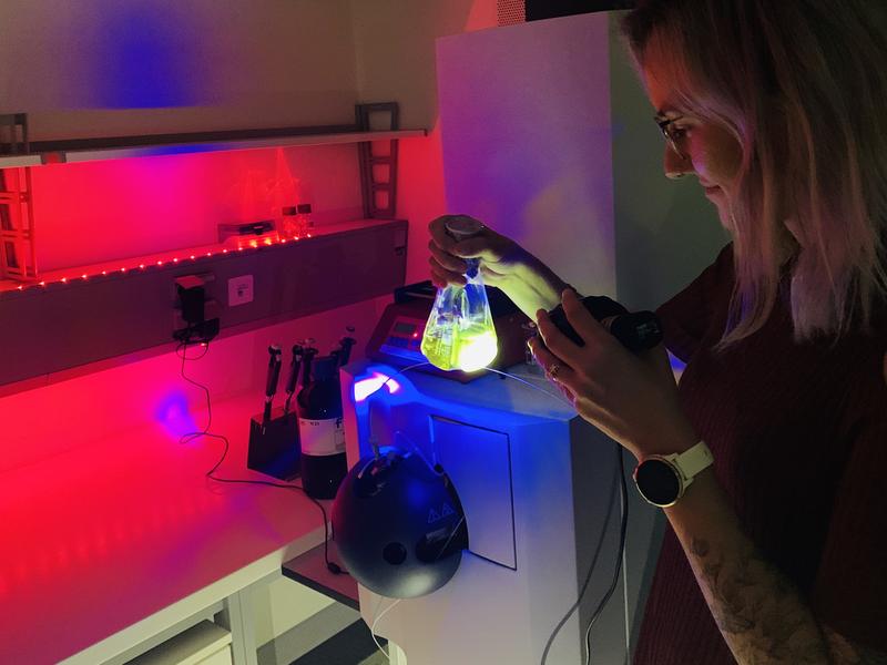 Uršula Vide vom Institut für Biochemie der TU Graz bei Arbeiten im Labor.