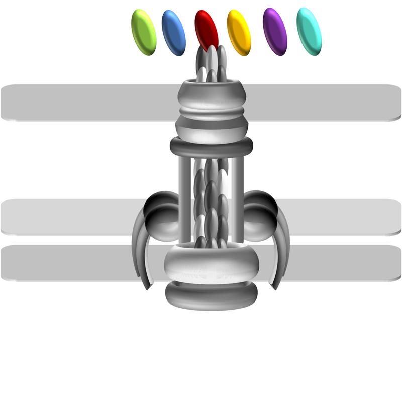 Like a multifunctional gardening tool, the T4A pili of different Acinetobacter strains have evolutionarily modified the ComC protein at their tip (oval, in different colors) to settle in different niches within humans. Gray bars: cell envelope. 