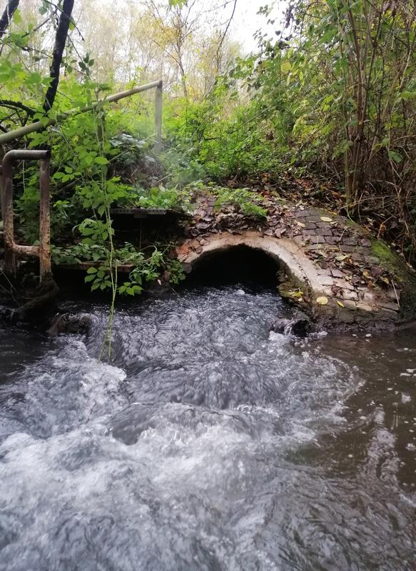 Treated wastewater is discharged into a nearby stream. In this way, numerous trace substances enter our waters. 